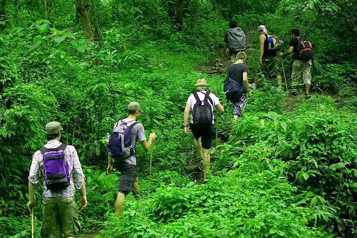 Rainforest Trekking in Kitulgala - Photo 1 of 7